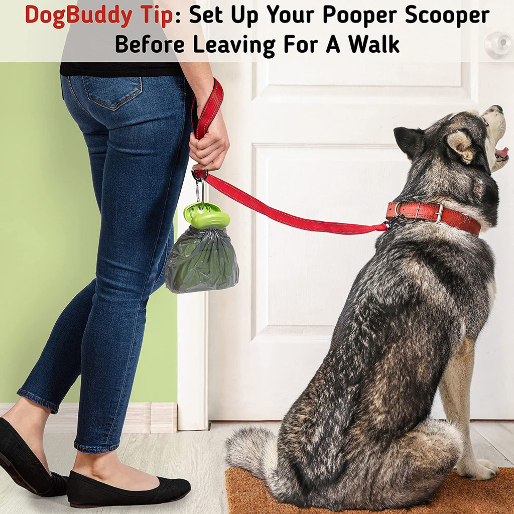 Pooper Scooper, Portable Dog Pooper Scooper, Poop Scooper for Small and Large Dogs, Pooper Scooper with Bag Attachment, Leash Clip and Dog Waste Bags Included (Medium, Kiwi)